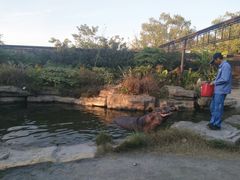 -野生动物园-停车场