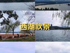 -西湖游船