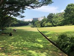 -新加坡总统府