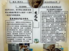 -青藏高原野生动物园