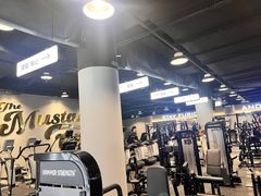 -TMG潮流健身(奥体莲荷里店)