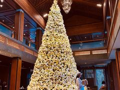 -日落吧·海景咖啡厅·餐酒吧·鸡尾酒·下午茶·乐队表演·浪漫夕阳·三亚文华东方酒店