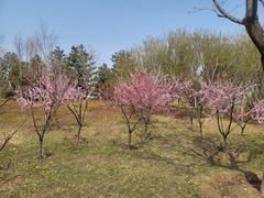 -张家湾公园