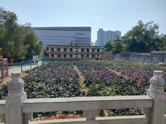 -宝通禅寺