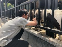 -鲤鱼山公园