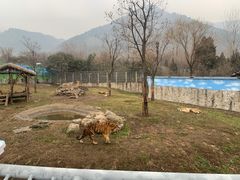 -西安秦岭野生动物园