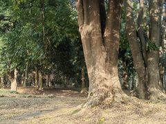 -杭州植物园