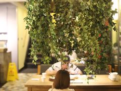 -旅马餐厅(茅家埠店)