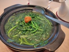 原汁原味西洋菜-金苑海鲜酒家(来魅力店)