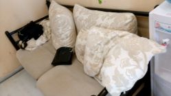 -J·C NAIL美甲美睫