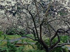 -广州市白云山风景名胜区