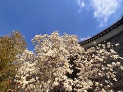 -天津盘山风景名胜区