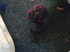 三亚亚龙湾华宇度假酒店(原三亚华宇皇冠假日酒)-三亚亚龙湾雅高美爵酒店