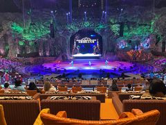 -广州长隆国际大马戏