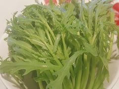 -蒙都43°9羊火锅·赤峰美食(桥北店)