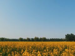 -汉长安城未央宫国家考古遗址公园