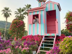 -东南花都花博园