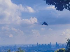 -火炉山森林公园
