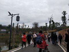 -枫香湖儿童公园