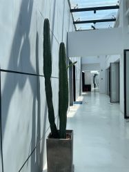 -无界瑜伽普拉提