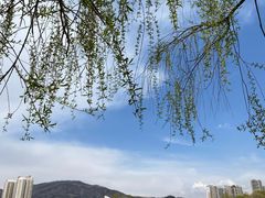 -西宁市人民公园(城西区)