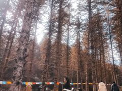 -硗碛藏寨·神木垒景区