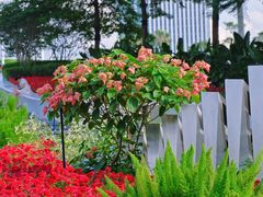 -二沙岛艺术公园