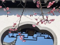 -芥子园
