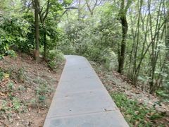 -广州市白云山风景名胜区