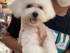 -FAELING PETS美天灵宠物(富力广场店)
