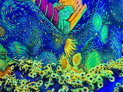 -梵高星空艺术馆(北京旗舰店)