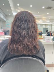 -镁连社·美联社