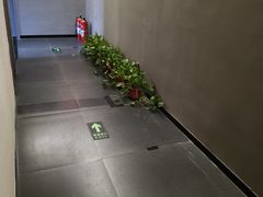 -耳妃躺式采耳SPA馆