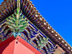 -北陵公园