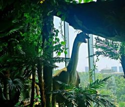 -恐龙探索乐园(磁器口店)