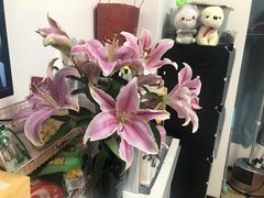 -LELECHA乐乐茶(新街口大洋店)