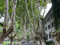-东南大学(四牌楼校区)