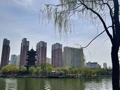 -迎泽公园