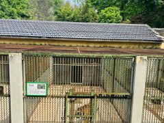 -合肥野生动物园