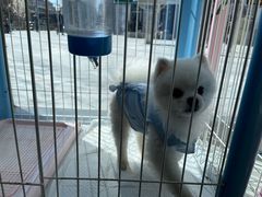 -萌兽医馆·眼科·异宠专科(三里屯店)