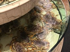 -白金汉爵大酒店(相城店)