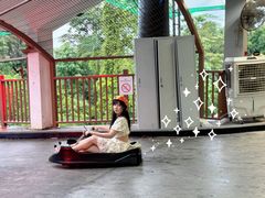 -圣淘沙天际线斜坡滑车