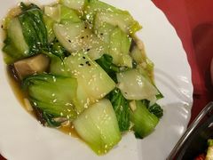 -熊猫川菜馆 panda chine