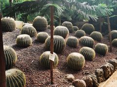 -呀路古热带植物园