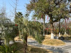 -三圣花乡旅游区