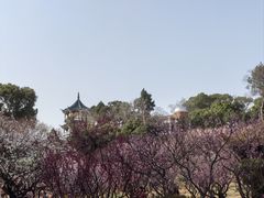 -无锡梅园公园