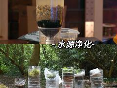 -火炉山森林公园