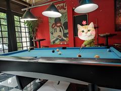 -Judy's  spot
