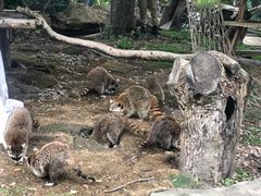 -宁波野生动物园