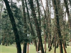 -华南国家植物园-售票处